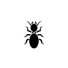 Termite