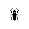 Roaches