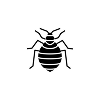 Bed Bugs