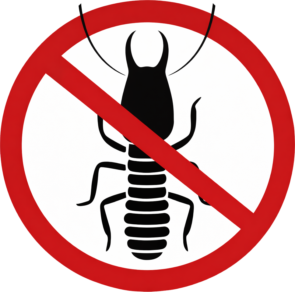 No Termite